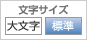 文字サイズ