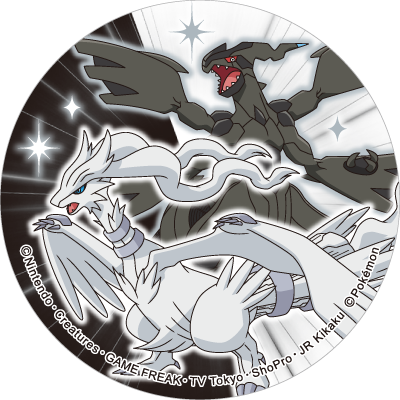 ゼクロム・レシラム