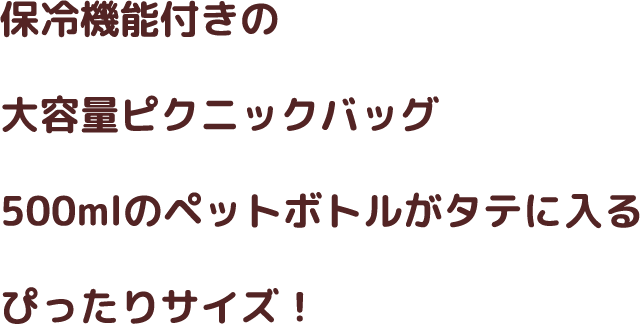 保冷機能付きの大容量ピクニックバッグ。500mlのペットボトルがタテに入るぴったりサイズ！