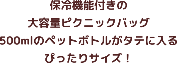 保冷機能付きの大容量ピクニックバッグ。500mlのペットボトルがタテに入るぴったりサイズ！