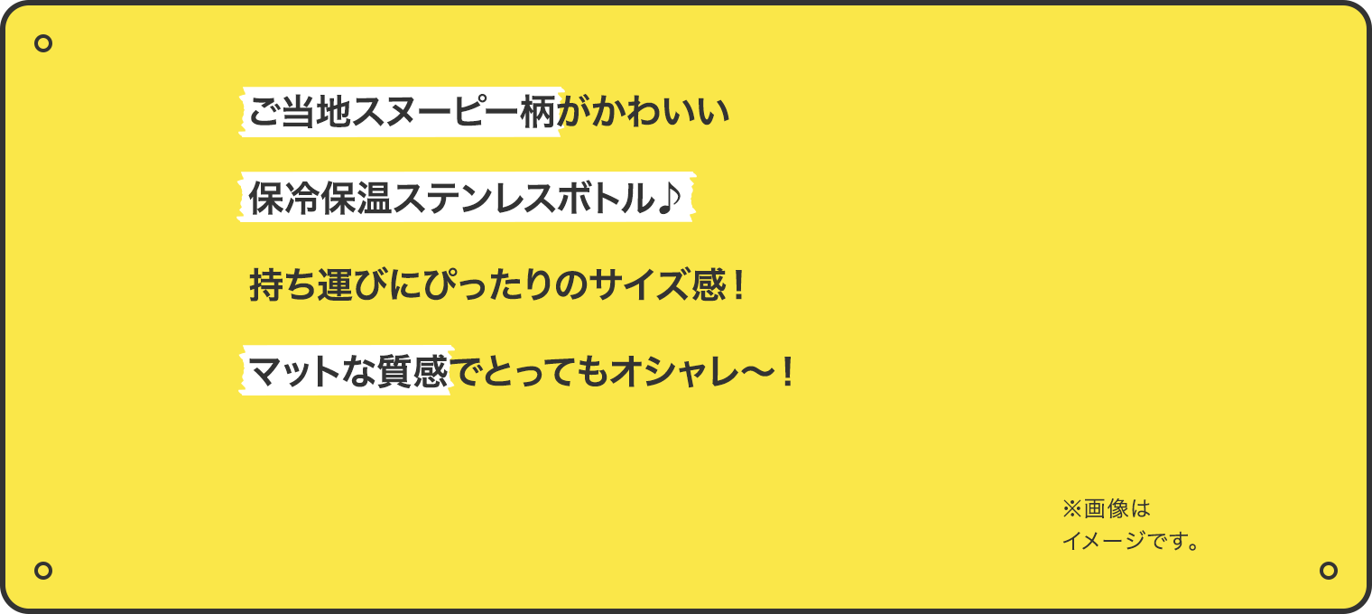ご当地スヌーピー柄がかわいい保冷保温ステンレスボトル♪持ち運びにぴったりのサイズ感！マットな質感でとってもオシャレ〜！