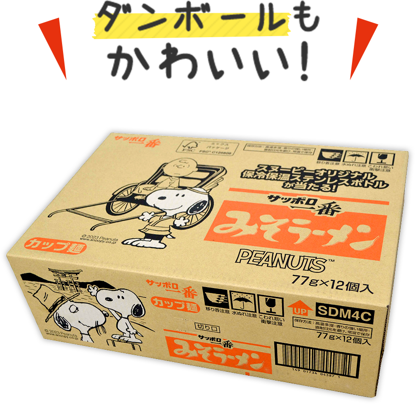 ダンボールもかわいい！