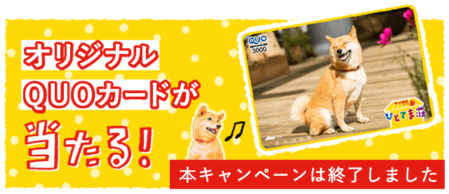 サッポロ一番 -ひとてま荘- | 47都道府県一番キャンペーンサイト