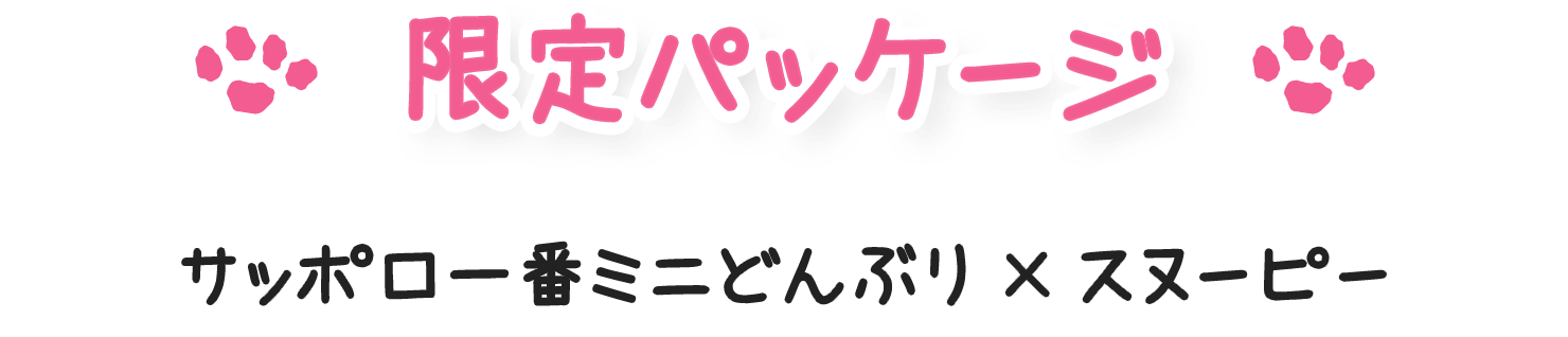 限定パッケージ サッポロ一番ミニどんぶり×スヌーピー