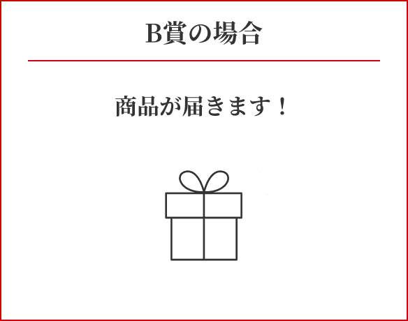 B賞の場合/商品が届きます！