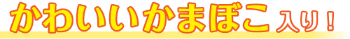 新しくイーブイかまぼこが仲間入り！