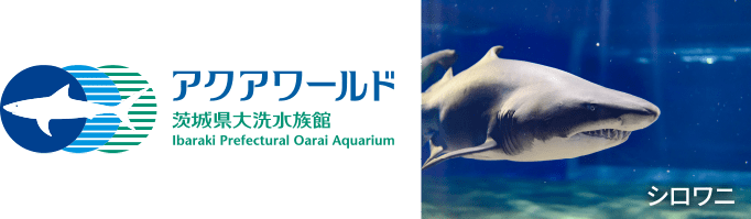 アクアワールド茨城県大洗水族館