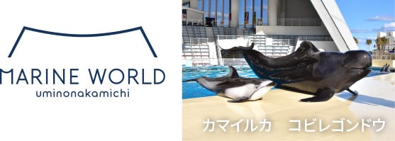 MARINE WORLD