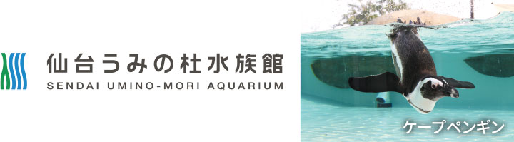 仙台うみの杜水族館