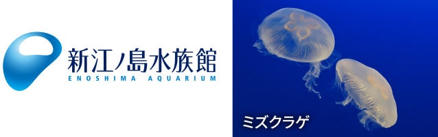 新江ノ島水族館