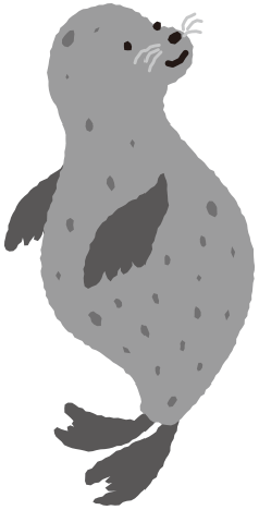 アザラシ