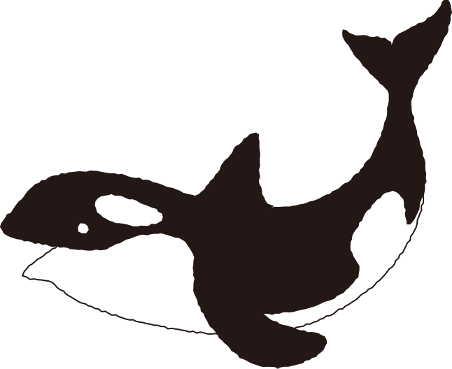 シャチ