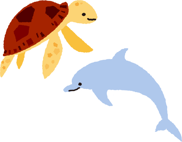 ウミガメ、イルカ