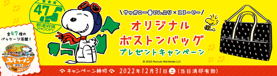 予約中！】 サンヨー食品 サッポロ一番 バラエティーパック ミニどんぶり １セット ２４食：４食×６パック